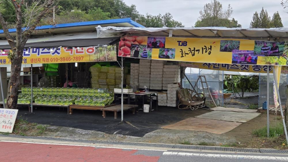 싱싱바이오 사진1