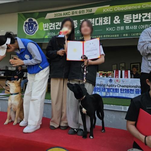 동물보건학과 및 동물사육학전공 2026년 KKC 반려견 복종 훈련대회 우수한 성과