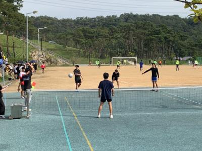 2019년 체육대회 행사 족구 결승 5