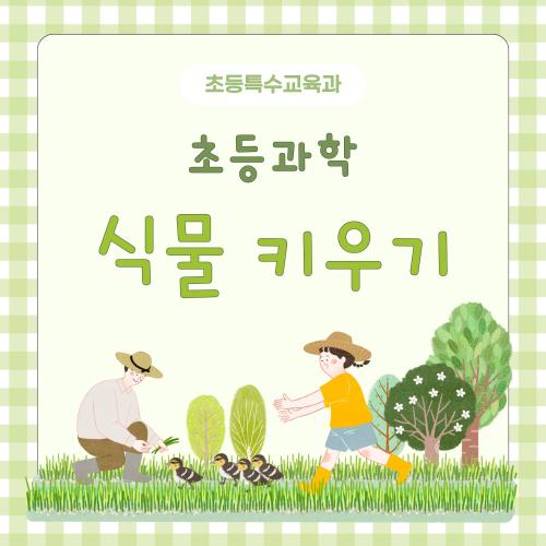 [초등과학] 식물 키우기