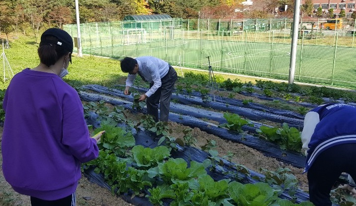 학생성장교양학부 '텃밭에서 거둔 첫 수확으로 나눔 파티를 열다'
