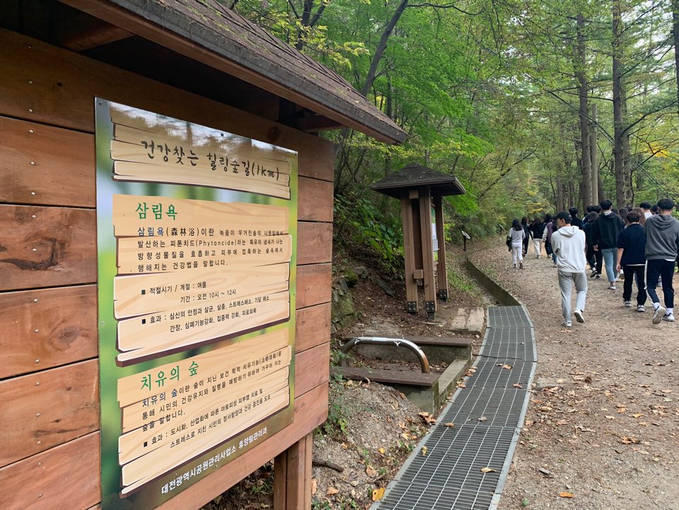 학생성장교양학부 '숲속 힐링으로 나를 성찰하다'